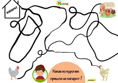 Курочки и капарот