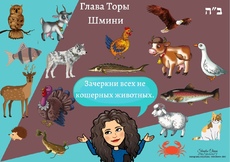 Задание к недельной главе 