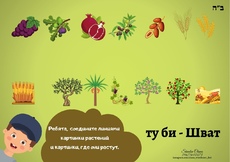 Игра на Ту би Шват